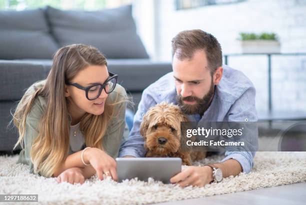 young couple and their pet dog at home - home loans stock pictures, royalty-free photos & images