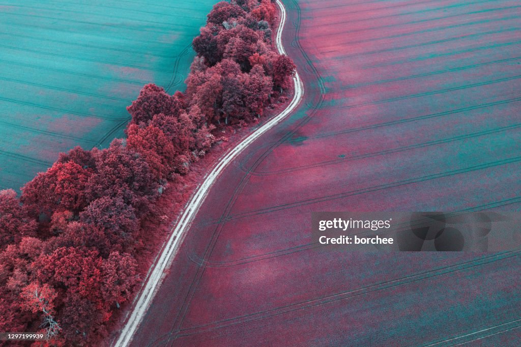 Colorful Fields
