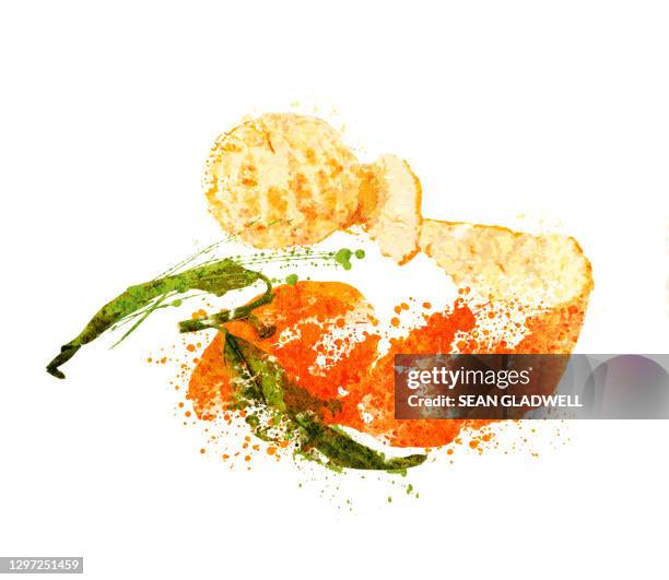 tangerine and peel illustration - tangerine sketch stock pictures, royalty-free photos & images