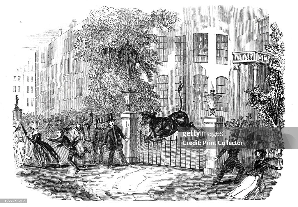 Scene In Privy Gardens