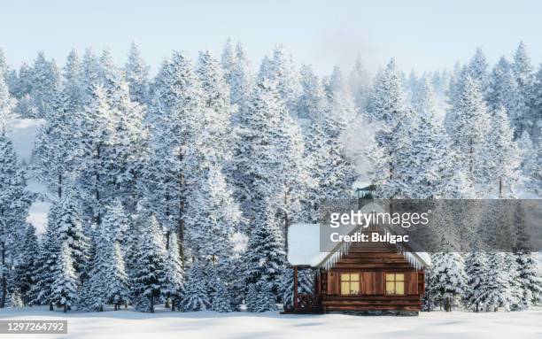 paesaggio invernale soleggiato - log cabin foto e immagini stock