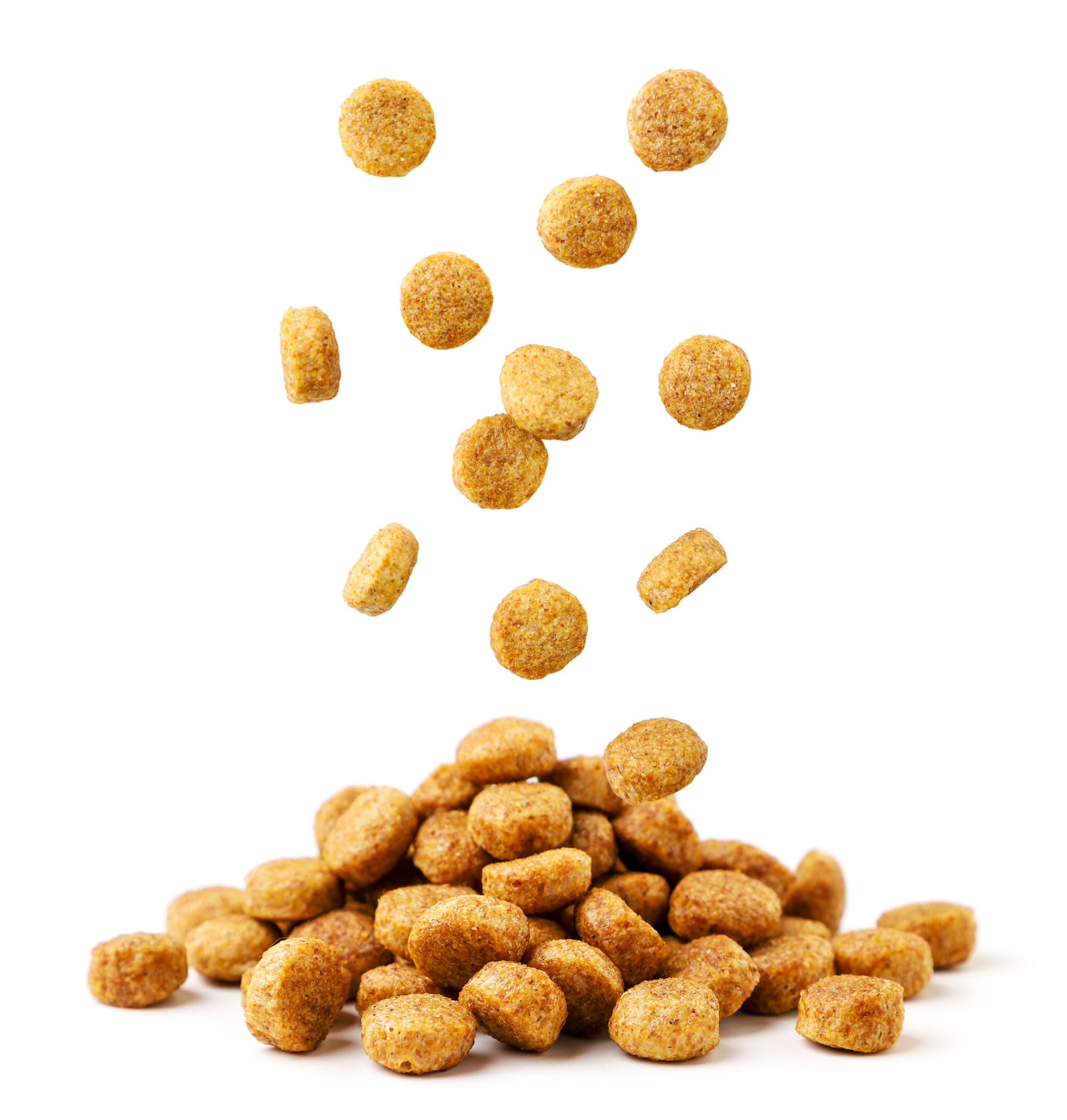dry pet food