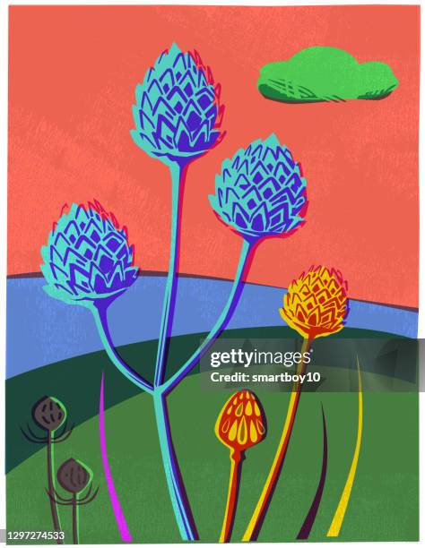 countryside scene with wild flowers and seed heads - cow parsley stock illustrations