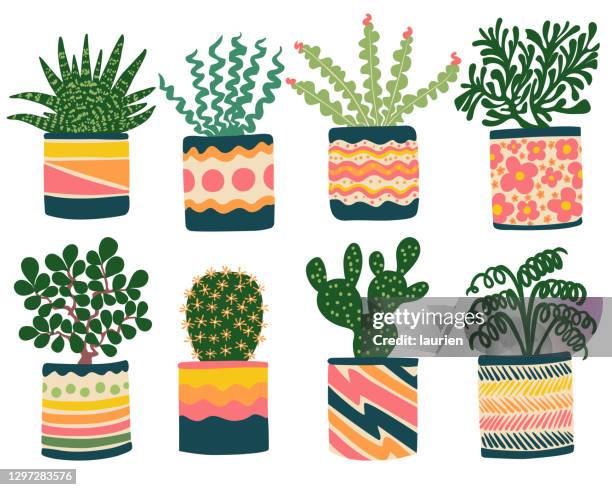 illustrazioni stock, clip art, cartoni animati e icone di tendenza di piante d'appartamento succulente in fioriere divertenti - piante grasse