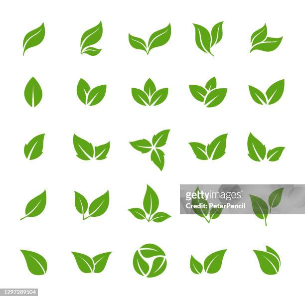 blätter-symbol - vektor stock illustration. leaf shapes collection - vektor stock-grafiken, -clipart, -cartoons und -symbole
