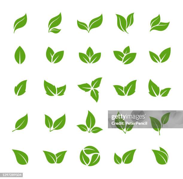 bildbanksillustrationer, clip art samt tecknat material och ikoner med lämnar ikon - vector stock illustration. lövformer samling - environmentally friendly