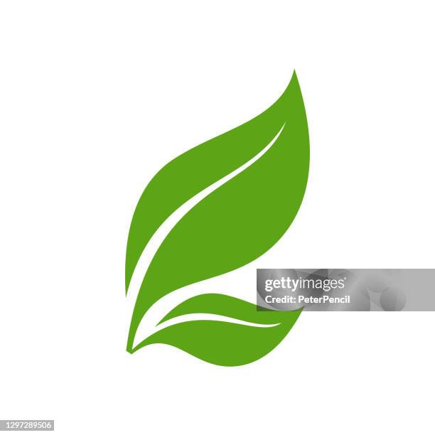 leaf icon - vector stock illustration - tea leaf logo stock illustrations