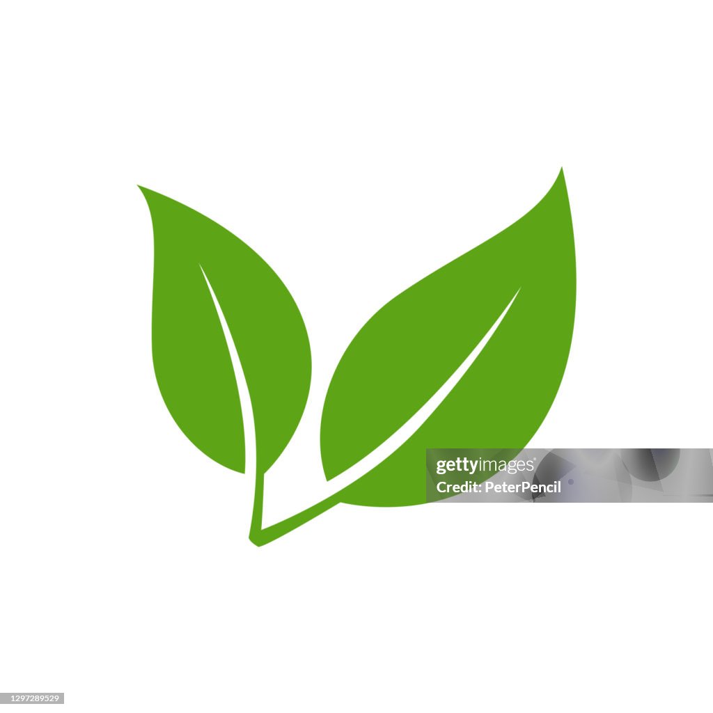 Icona foglia - Illustrazione di materiale vettoriale