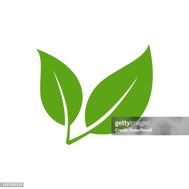 stockillustraties, clipart, cartoons en iconen met bladpictogram - illustratie vectorvoorraad - vegetarisch gerecht