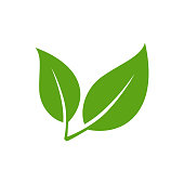 Leaf Icon - Vector Stock Illustration