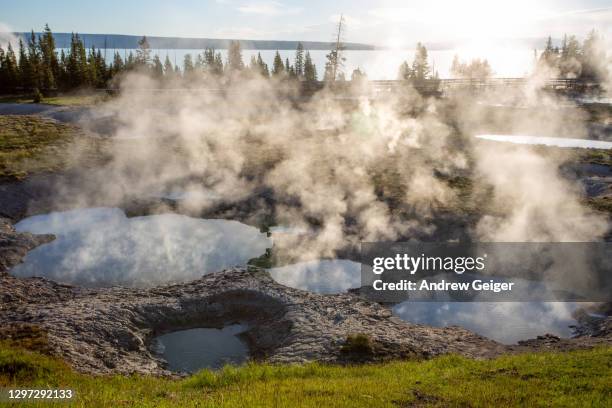 wide shot of steaming geothermal pools at sunrise in forest near yellowstone lake at west thumb geyser basin. - basin montana bildbanksfoton och bilder