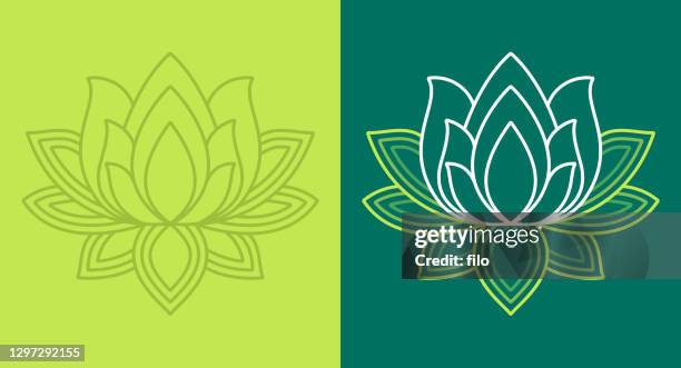 lotus blossom symbols - lotus root stock illustrations