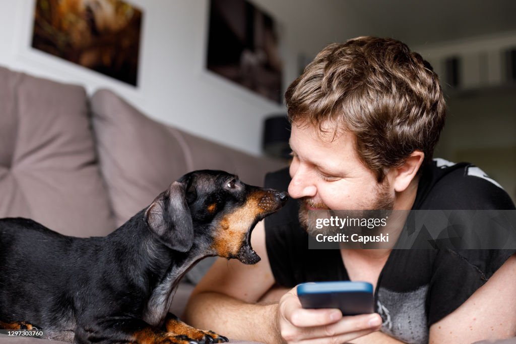 Hund skäller på man med hjälp av telefon