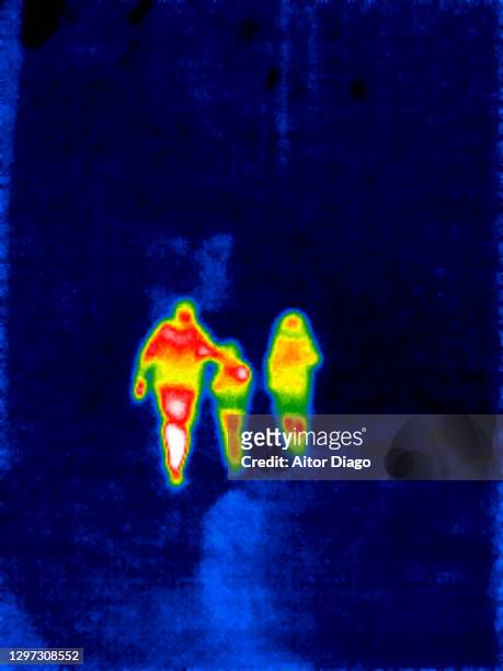 thermal image of back view unrecognizable family consisting of an adult and two children walking through a forest. - 熱映像 ストックフォトと画像