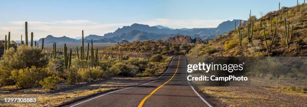 highway 1 panorama - deserto del sonoran foto e immagini stock