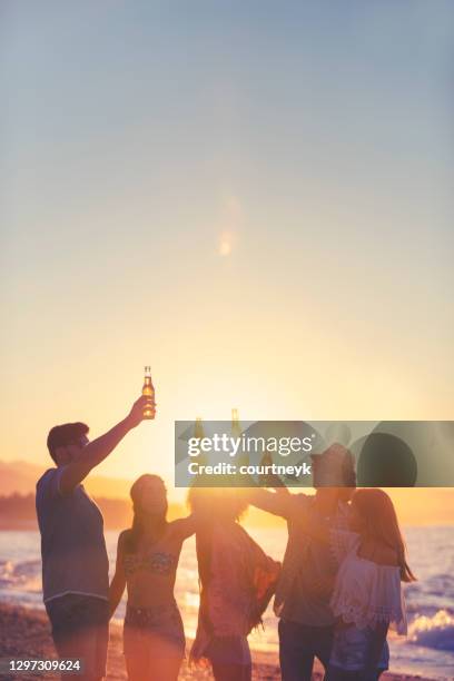 group of young people partying on the beach at sunset. - back lit people stock pictures, royalty-free photos & images