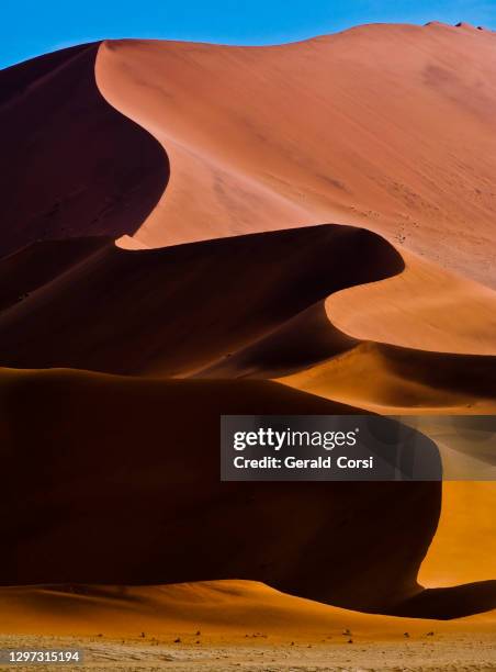 sossusvlei dune area, namib-naukluft national park, namibia. the namib desert is a desert in namibia and southwest angola which forms part of the namib-naukluft national park, africa's second largest. contours and ripples in the brown sand. - sossusvlei stock pictures, royalty-free photos & images