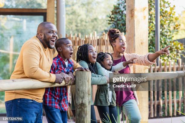 african-american family visiting the zoo - familie zoo stock pictures, royalty-free photos & images