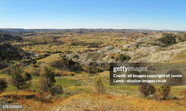 badlands of theodore roosevelt national park, north dakota - theodore roosevelt national park stockfoto's en -beelden