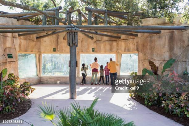 afroamerikanische familie zu besuch im zoo - familie zoo stock-fotos und bilder