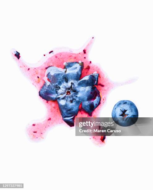 smashed blueberry with whole blueberry next to it - à maturité photos et images de collection