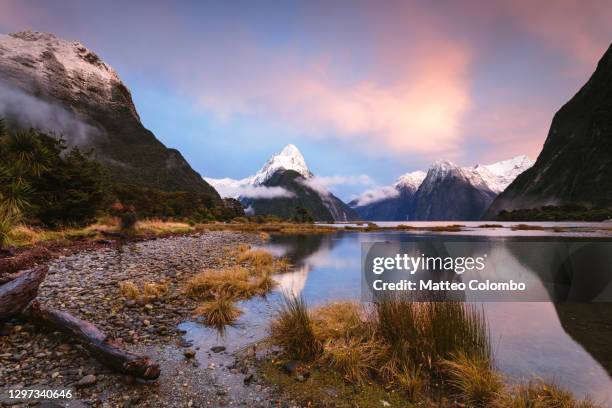 awesome dawn at milford sound, new zealand - southland new zealand 個照片及圖片檔