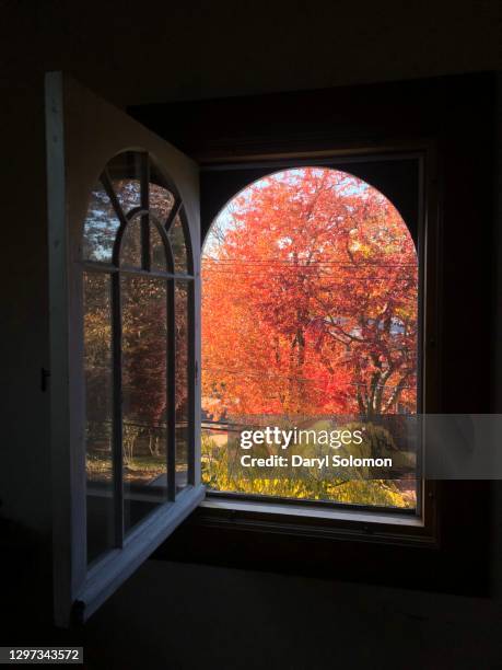 Open Window Inside Red 1,265 Red Frame Window Stock Photos, High-Res Pictures, and Images ...