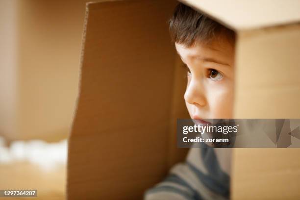 Hiding In Box Hiding Inside A Box Photos and Premium High Res Pictures - Getty Images