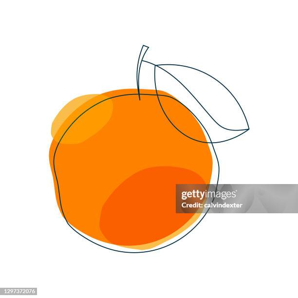 orange fruit flat and line art illustration - orange fruit stock illustrations