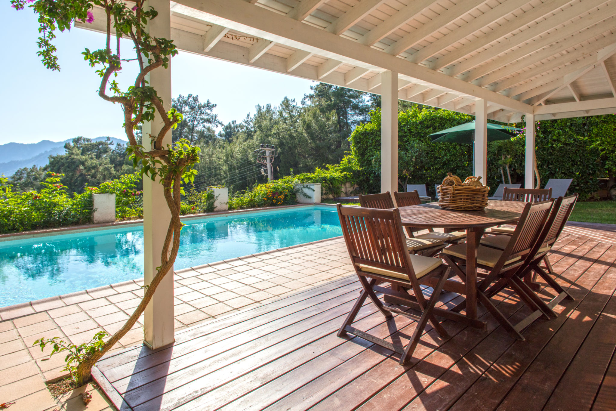 villa garden pool