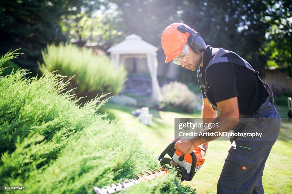 Jardinero profesional con sierra eléctrica, corte de seto en el jardín.