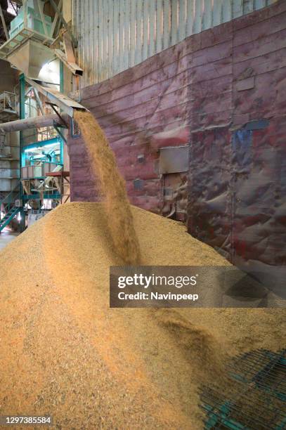 Rice Factory Photos and Premium High Res Pictures - Getty Images