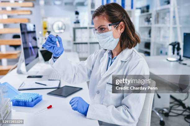 the pro in sample processing - stem cells human stock pictures, royalty-free photos & images