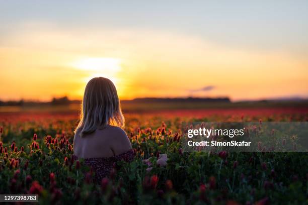 woman admiring sunset from crimson clover field - admiration stock pictures, royalty-free photos & images