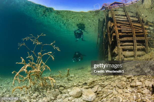 scuba diver exploring lakeatter - attersee stock-fotos und bilder