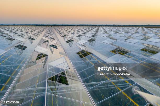 luchtmening van serre voor het kweken van groente tijdens idyllische zonsondergang - conservatory stockfoto's en -beelden