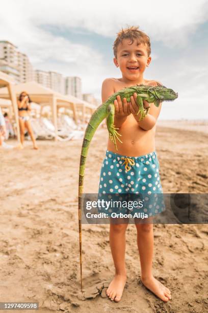 ビーチでイグアナを抱く少年 - イグアナ ストックフォトと画像