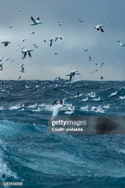 view on a rough sea, with waves of the open ocean from a boat - port hole stock pictures, royalty-free photos & images