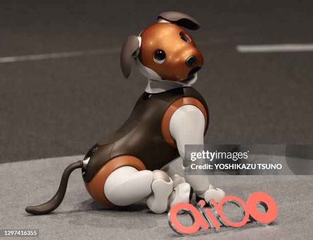 23 Robot Chien Stock Photos, High-Res Pictures, and Images - Getty