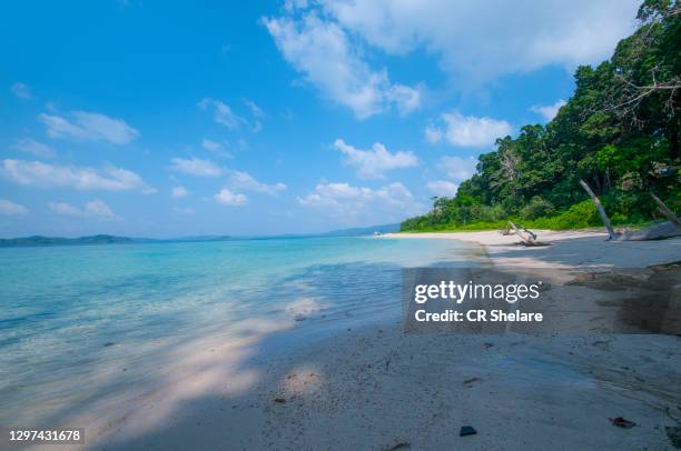 beautiful beach of andaman and nicobar island, paradise of india. - andaman & nicobar stock pictures, royalty-free photos & images