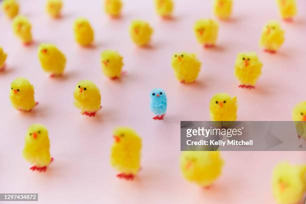 easter chickens in a grid on pink background - exclusion concept stock pictures, royalty-free photos & images