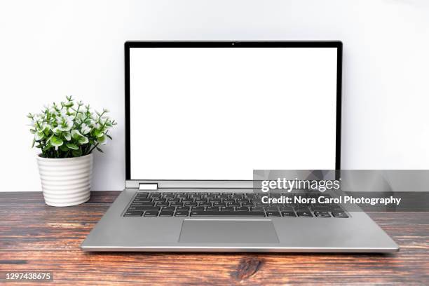 blank screen silver laptop with potted plant - silver screen collection 個照片及圖片檔