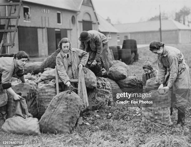 Members of the Women's Land Army sort and pack apples into sacks for cider making on 21st November 1939 at the Monmouthshire Institute of Agriculture...