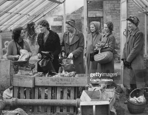 Women evactuated from the bombing in London queue in line to buy fresh vegetables from a box stall on 15th April 1941 at a farm shop in Bishops...
