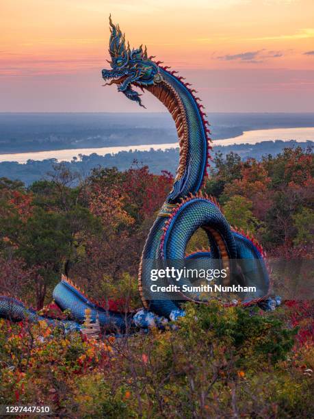 phaya si mukda maha muni nilapala nakkharat the king of giant naga statue in the forest behind of mekhong river at wat roi phra phutthabat phu manorom mukdahan province, thailand - draak fictieve figuren stockfoto's en -beelden