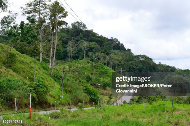 Techa Ecuador 78 Tena Ecuador Stock Photos, High-Res Pictures, and Images - Getty Images