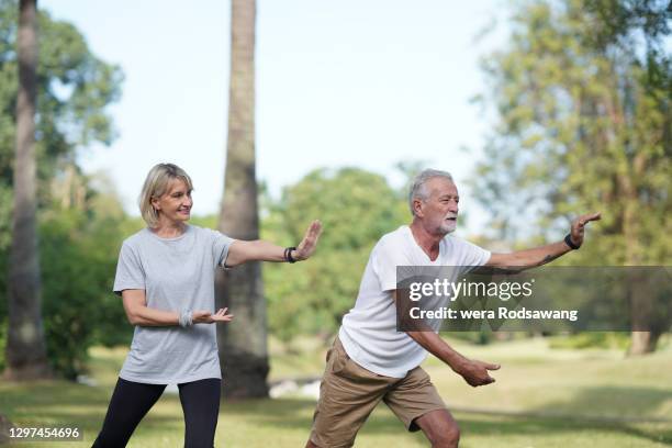senior couple caring themself doing tai chi exercising - woman and tai chi stock pictures, royalty-free photos & images