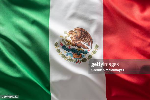 mexico flag blowing in the wind. - mexican artists celebrate el grito the cry of independence stockfoto's en -beelden