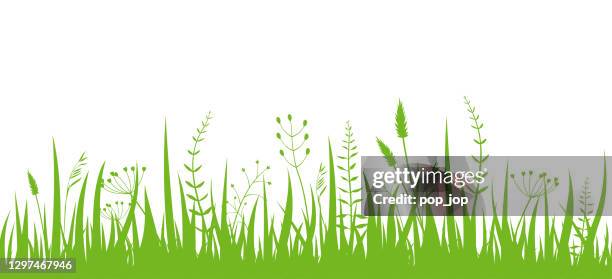 green grass - seamless border pattern. realistic vector. isolated on white background. - turf background stock illustrations