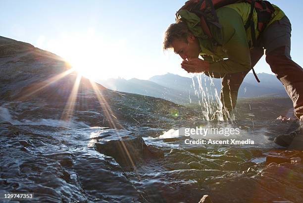hiker drinks from mountain stream at sunrise. - törstig bildbanksfoton och bilder